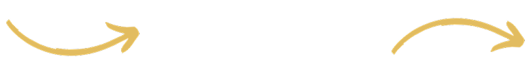 CONSULTATION PROCESS